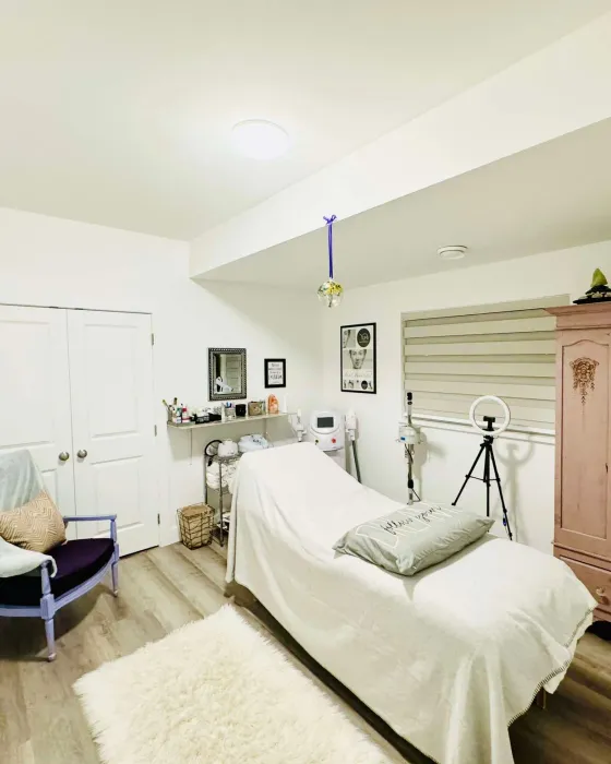 The treatment room, with a draped treatment bed under a cream throw and cushion, a sheepskin rug on the wood floor, an antique rose coloured armoire with a mirror, framed pictures on the wall, and a ring light on a tripod beside a small equipment trolley
