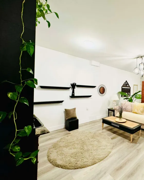 The lounge at the studio, with a cream sofa, a low wooden table, a round rug and trailing plants beside black shelves on a white wall