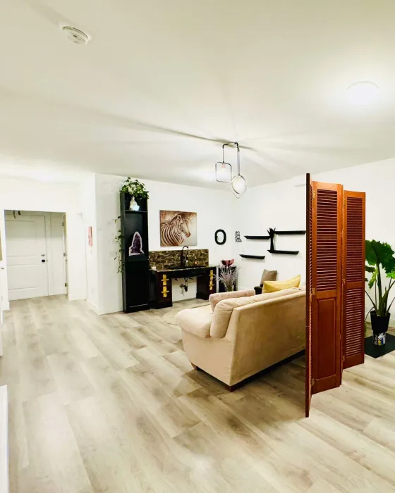 The main room of the studio, looking toward a wooden louvred screen and black wall shelving, with a sofa, plants and warm wood floors in the daylight